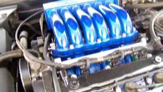 Cammed Tiburon Tuscani CRAZY Idle Engine Bay and Revving [upl. by Natsuj]