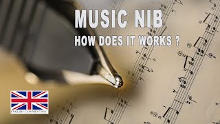 Music nib how does it works  test writing and review [upl. by Oika]