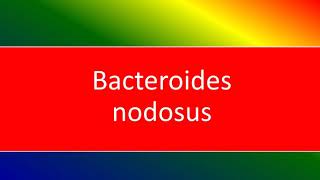 bacteroides nodosus [upl. by Ik630]