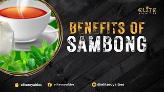 Sambong Benefits  Buy now [upl. by Anaehs]