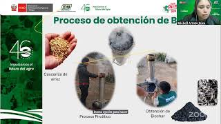 Producción y uso de biochar e inmovilización de Trichoderma [upl. by Devland31]