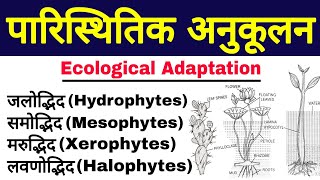 पारिस्थितिक अनुकूलन Ecological Adaptation Ecological Adaptation in plants  paristhitik anukulan [upl. by Anatol]