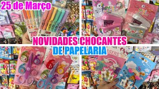 25 DE MARÇO  NOVIDADES CHOCANTES DE PAPELARIA  COISAS FOFAS DE PAPELARIA [upl. by Pedrick]