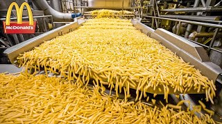 Voici Comment Sont Vraiment Fabriquées Les Frites De Chez McDonalds [upl. by Linnell]