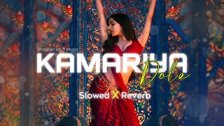 Kamariya Dole  Slowed Reverb [upl. by Vandervelde411]