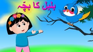 Bulbul Ka Bacha Urdu Poem  بلبل کا بچہ  Urdu Nursery Rhyme Collection for Babies [upl. by Leyameg]