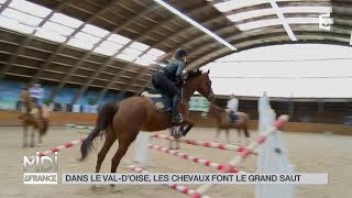 ANIMAUX  Dans le Val dOise les chevaux font le grand saut [upl. by Aeslahc70]