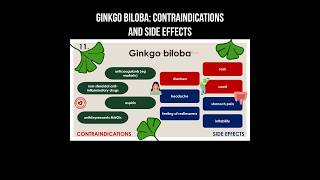 Ginkgo biloba contraindications and side effects ginkgo ginkgobiloba herbalmedicine sideeffects [upl. by Aksel]