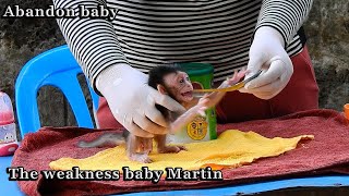 Rescue and feed milk to abandon baby Martin that mom Malina left him [upl. by Acirej]