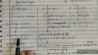 Streptococcus classification  classify streptococci [upl. by Eiznikcm979]