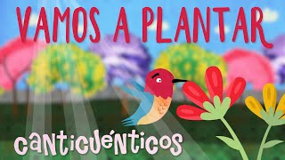 Vamos a plantar  CANTICUÉNTICOS [upl. by Ailis]