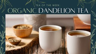 Organic Dandelion Tea 💛  Tea of the Week [upl. by Axel]