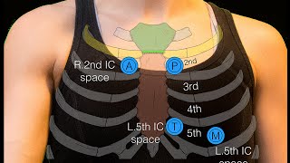 Sternal angle [upl. by Intosh]