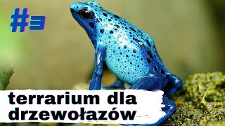 3 Jak zrobić vivarium dla drzewołazów [upl. by Laina192]