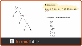 Primfaktorzerlegung – Erklärung – Übungsaufgaben – Teilbarkeitsregeln [upl. by Cleave40]