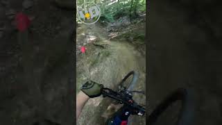 Bikepark Schienerberg shorts mtb youtube funny shortsvideo shortsfeed viral [upl. by Akirrehs]