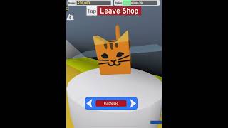 So I got the tabby beein bee swarm simulatorbeeswarmsimulator roblox bloxfruits gaming shorts [upl. by Lamonica]