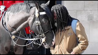 Funny Moments Horse Reacts to Head Rubbing 🐎 [upl. by Saimerej]