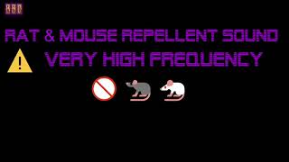 ⚠️Rat amp Mouse Repellent Sound Very High Frequency 9 Hours🚫🐀 🐁 [upl. by Atiuqer]