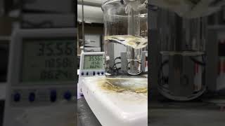 Crystallization of the mixture of lauric acid and myristic acid [upl. by Denice908]