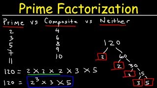 Prime Factorization Explained [upl. by Samuella]