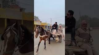 gadi chahiye funny video  wait for end  😃😄😀😁 [upl. by Aihceyt]