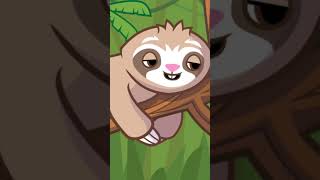 slender Loris sing song trendingshorts slender [upl. by Admama243]