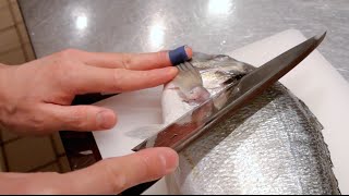 GRAPHIC  How to fillet a fish  Sea bream  Japanese technique  クロダイのさばき方 [upl. by Kaehpos]