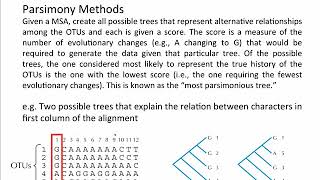 Phylogenetics  Basic Steps  Maximum Parsimony [upl. by Hanway]