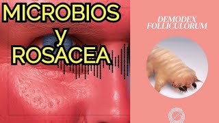 La MICROBIOTA y enfermedades de la piel como la ROSACEA [upl. by Thetos]