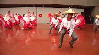 Ballet Folklorico Mexico Magico  Colima [upl. by Htezzil]