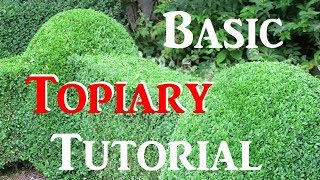 How To Do Basic Topiary  Tutorial [upl. by Litha]