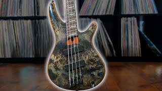 Can THIS Ibanez Bass STILL Stand a Chance In 2024 [upl. by Eillit]