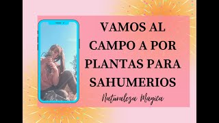 Cómo hacer SAHUMERIOS artesanales paso a paso  FÁCILES Y GRATIS 🌿🌿🌿 [upl. by Jone]