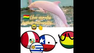 DELFINES ROSADOS EN BOLIVIA 🐬🇧🇴 countryballs humor [upl. by Raab]