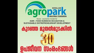 കുറഞ്ഞ മുതൽ മുടക്കിൽ ആരംഭിക്കാൻ കഴിയുന്ന 30 ഉപജീവന സംരംഭങ്ങൾ30 small scale business ideas [upl. by Nola619]