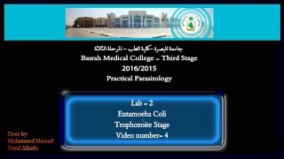 4 Pratical Parasitology  Entamoeba Coli  Trophozoite Stage [upl. by Ecinahc]