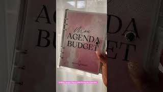 Budget Planner 📑 systemedesenveloppes enveloppesbudgétaires budget [upl. by Nyleuqcaj]