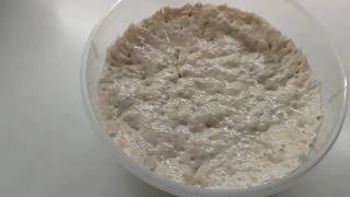 How to make bread with poolish part 1  recipe kneading preshaping [upl. by Sybila840]