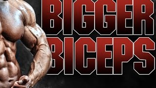 How To Build Bigger Biceps with the Athlean X Biceps Blast [upl. by Adias]