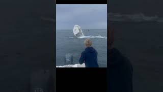 Shocking Humpback Whale Flips Boat and Throws Occupants Overboard in New Hampshire [upl. by Drida24]