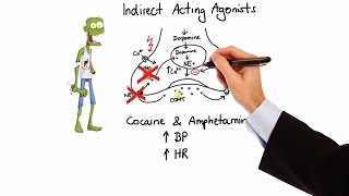 Pharmacology  ADRENERGIC RECEPTORS amp AGONISTS MADE EASY [upl. by Richmal735]