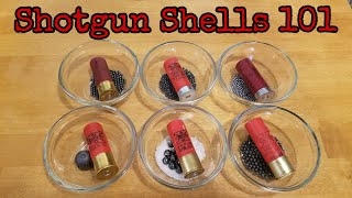 Shotgun Shells 101 [upl. by Zandt]