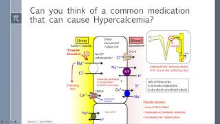 Calcium and Parathyroid Disease Surgery Shelf [upl. by Airaet289]