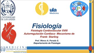 Fisiología Cardiovascular XVIII Autorregulación Cardíaca Mecanismo de FrankStarling [upl. by Salvidor61]