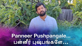 QUARANTINE FROM REALITY  PANNEER PUSHPANGALE  AVAL APPADITHAAN  Episode 587 [upl. by Nosinned]