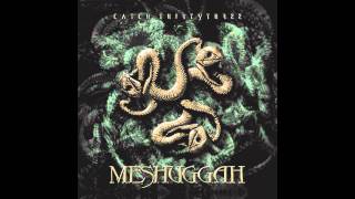 Meshuggah  In Death Is LifeDeath [upl. by Chu]