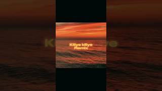 Kiliye kiliye Remix [upl. by Attenhoj]