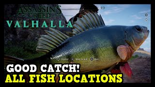 Assassins Creed Valhalla All Fish Locations Good Catch Trophy  Achievement Guide [upl. by Bilicki]