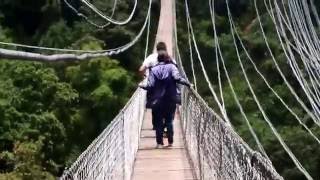 PUENTE COLGANTE TETELA DEL VOLCÁN MOR [upl. by Anahsal]